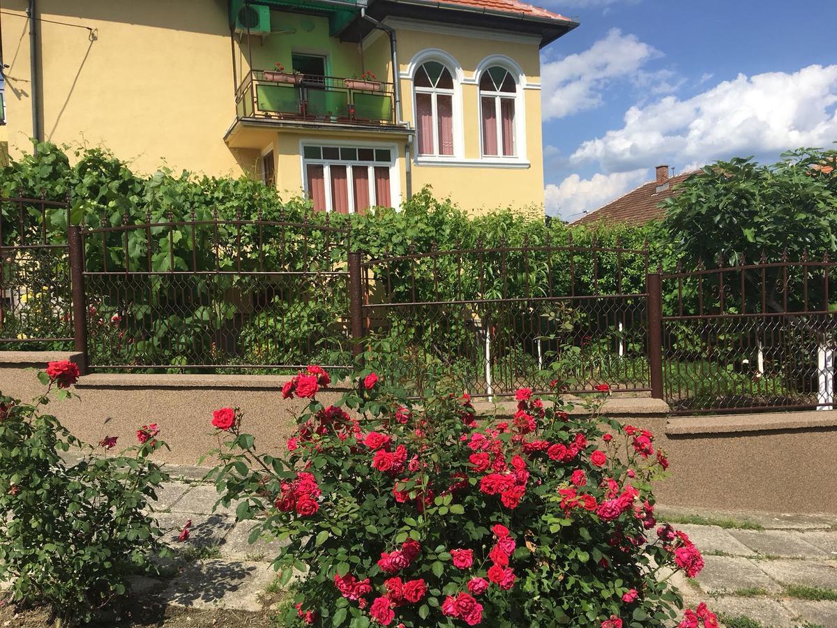 Vila Arjana Оршова Экстерьер фото